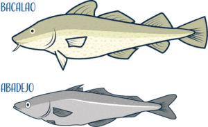 ¿Qué es el abadejo? el pescado pariente del bacalao - Delfin ...