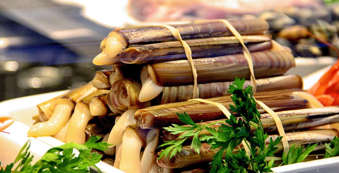 navajas de mar frescas