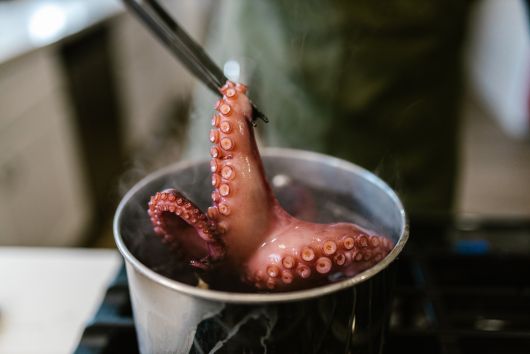 un pulpo saliendo de una olla durante su tiempo de cocción