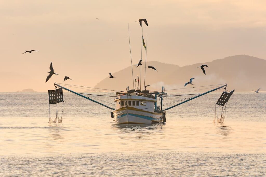 Barco Pescando carabineros