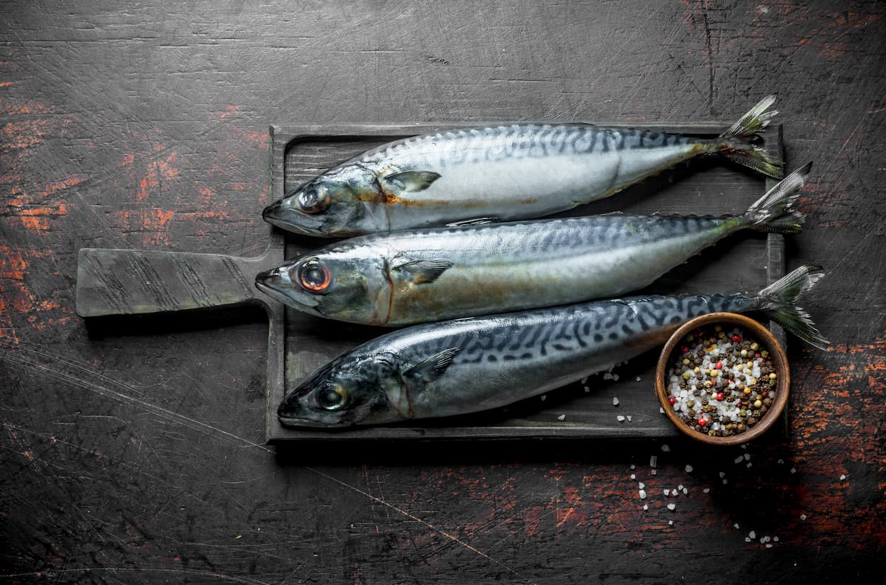 cabecera-articulo-pescados-azules