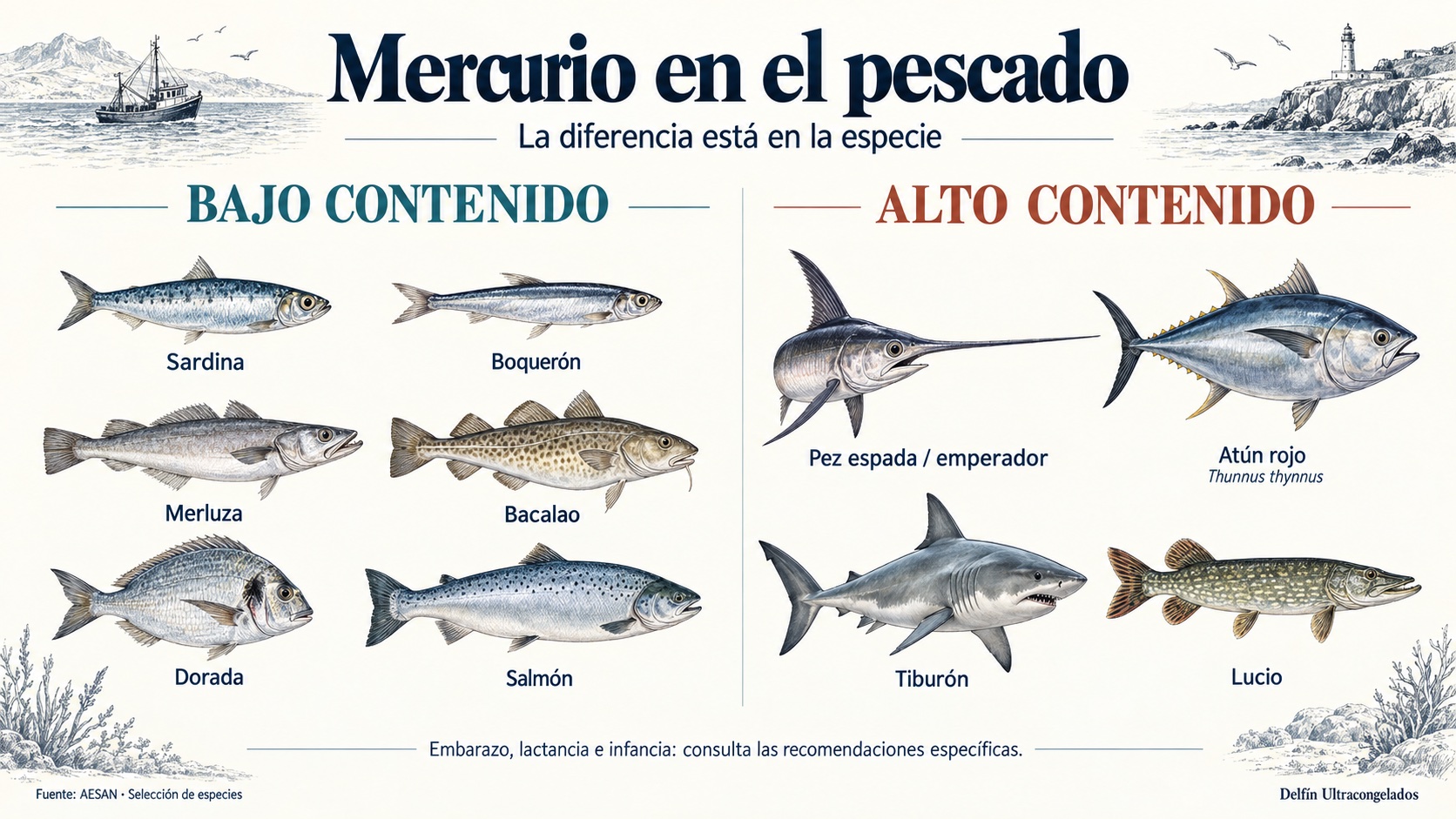 Comparativa de especies con bajo contenido en mercurio —sardina, boquerón, merluza, bacalao, dorada y salmón— y alto contenido —pez espada, atún rojo, tiburón y lucio— según AESAN