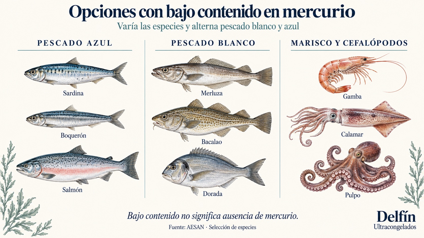 Selección de especies con bajo contenido en mercurio según AESAN: sardina, boquerón, salmón, merluza, bacalao, dorada, gamba, calamar y pulpo