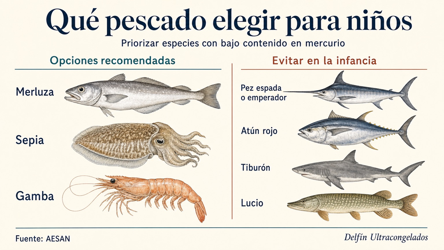 A naturalistic illustration separates hake, cuttlefish, and prawns as recommended options for children, and swordfish, bluefin tuna, shark, and pike as species to avoid in childhood.