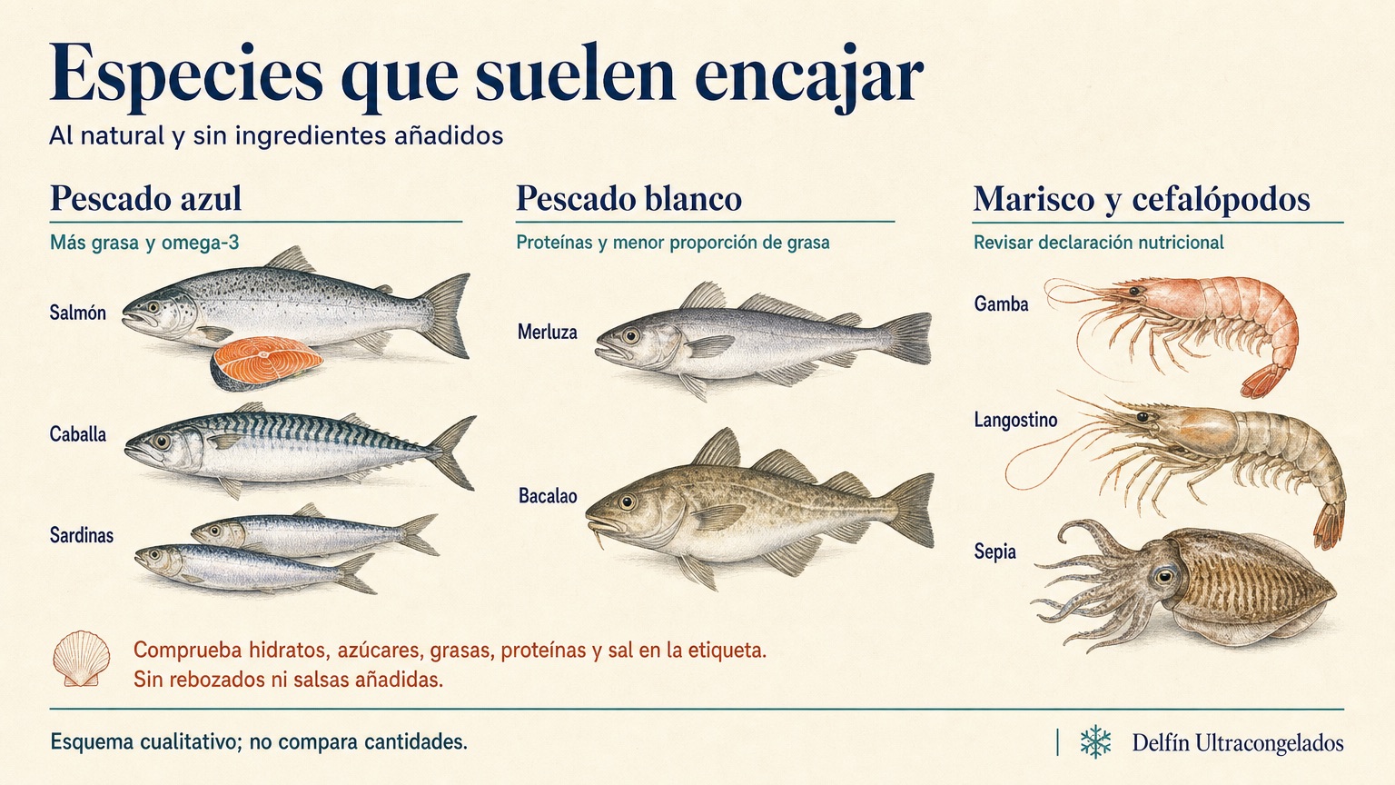 Lámina ilustrada con salmón, caballa y sardinas como pescado azul, merluza y bacalao como pescado blanco, y gamba, langostino y sepia como marisco y cefalópodos para la dieta keto