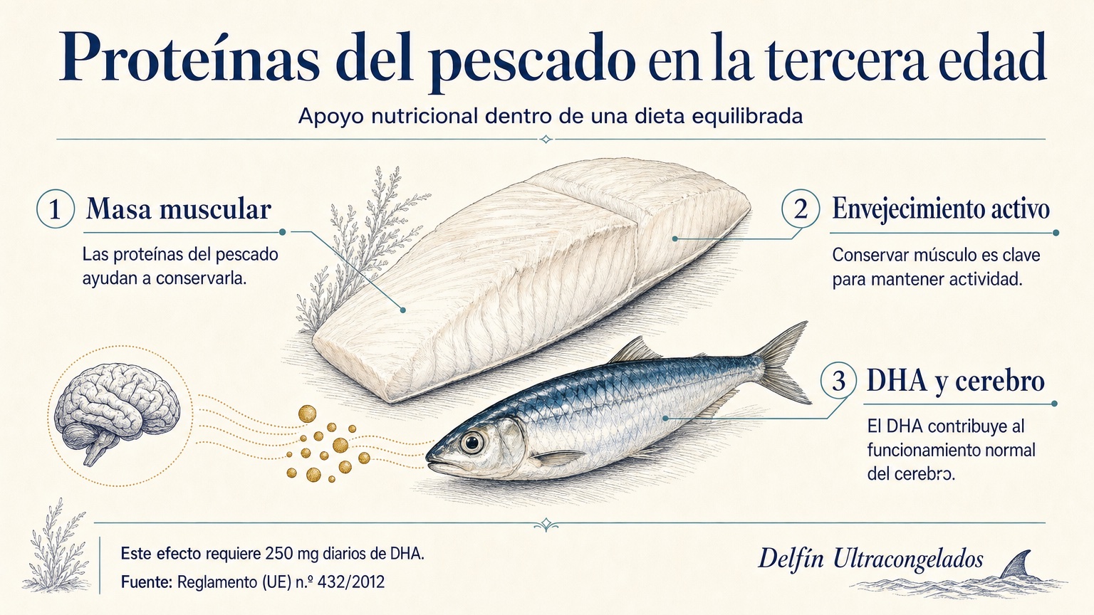 Infografía sobre proteínas del pescado, masa muscular y DHA en la tercera edad